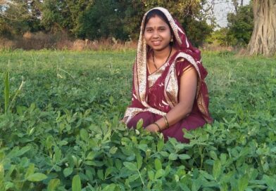 बालको की पहल से मूंगफली बनी किसानों की आय बढ़ाने का सशक्त माध्यम
